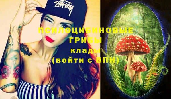прущие крисы Медногорск