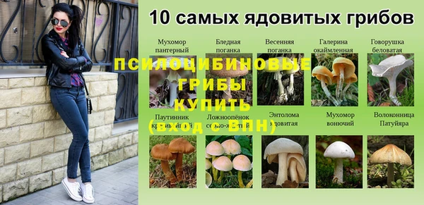 прущие крисы Медногорск