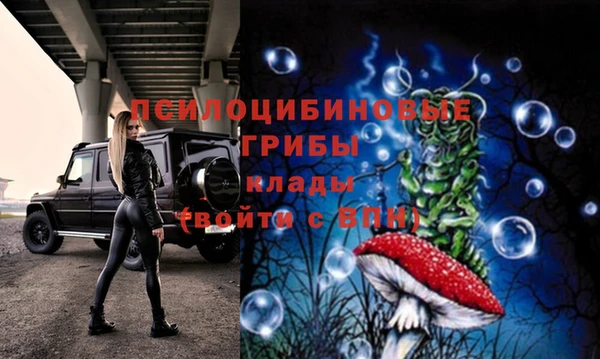 прущие крисы Медногорск