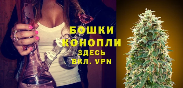 стаф Мегион